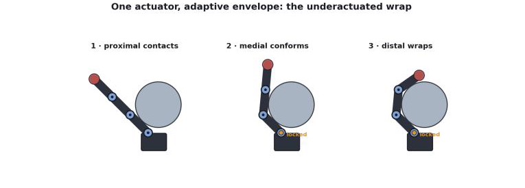 Three-stage diagram of the underactuated wrap: proximal contact, medial conform, distal wrap, with a self-locking stage holding the grasp